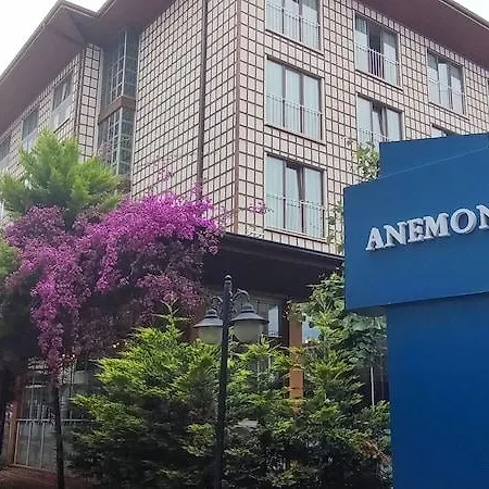 Anemon